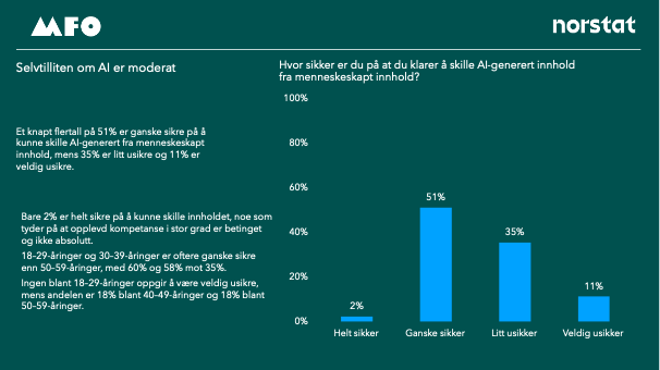 Bilde 6