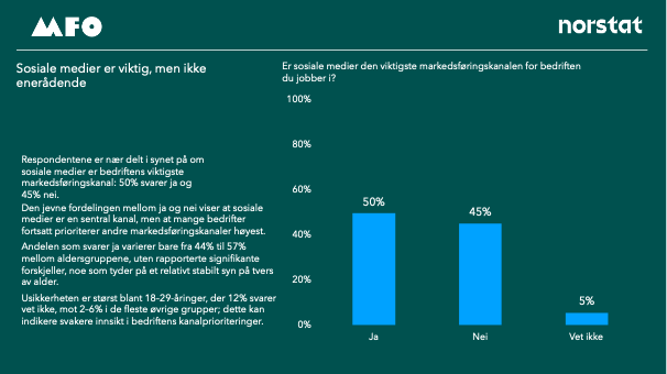 Bilde 8