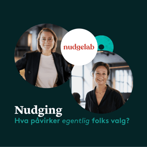 Nudging 1x1