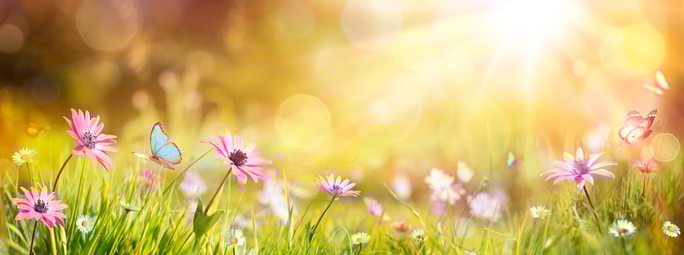 iStock-1302696641
