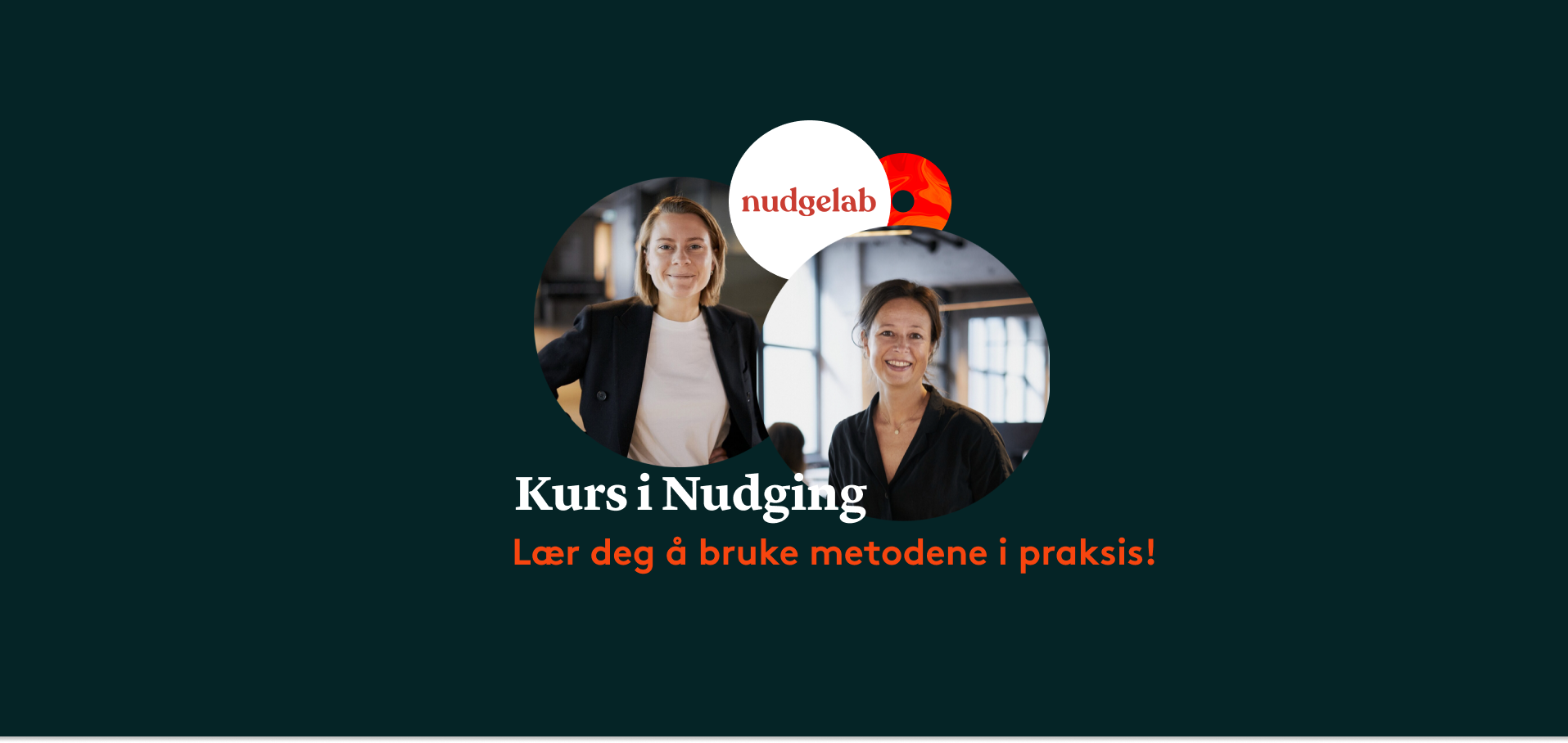 nudging kurs-1