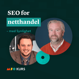 SEO for netthandel kurs